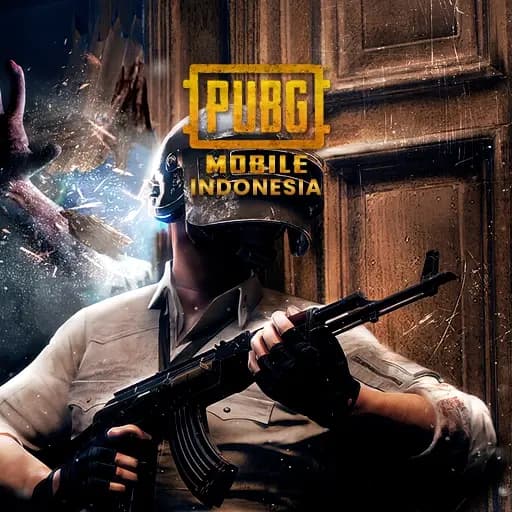 UCPUBGM